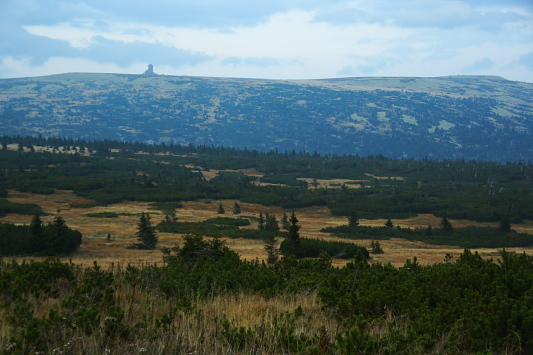 Pančavská louka